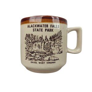 Vintage Blackwater Falls State Park Ceramic Mug Cup West Virginia
